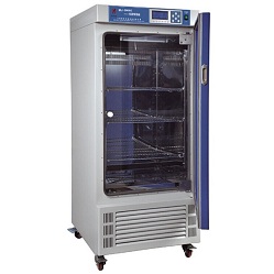 MJù�����B(y��ng)��